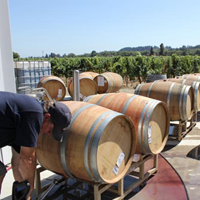 Barrels Winemaking