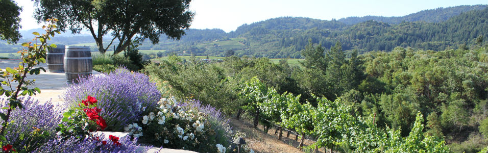 Lavender Patio View