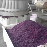 Steel Basket Press Cabernet