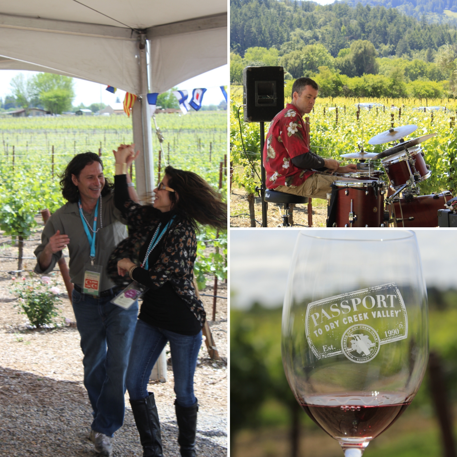 Passport to Dry Creek Valley