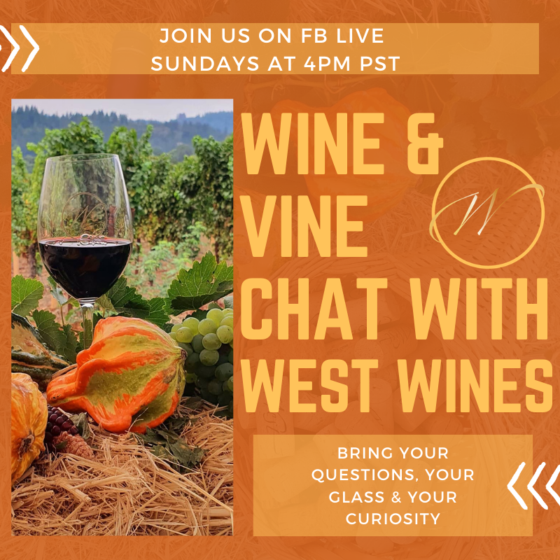 Wine & Vine Chat with Winemaker Katarina