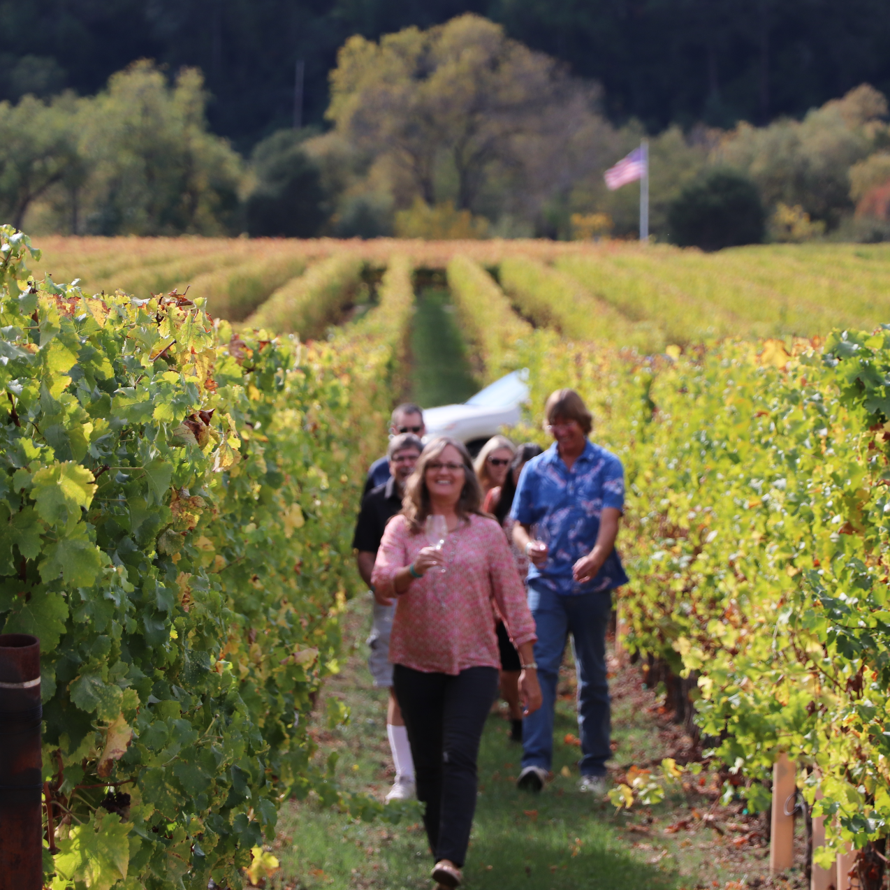 Vineyard Walk Fall Guests