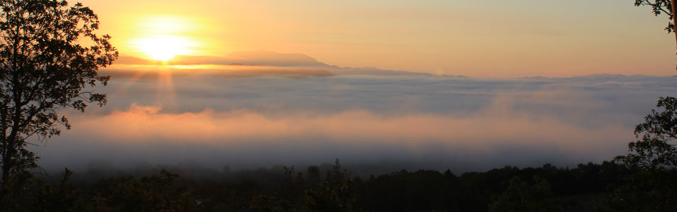 Dry Creek Valley Sunrise